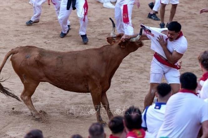 Người tham gia chạy đua cùng bò tót tại lễ hội San Fermin ở Pamplona, Tây Ban Nha, ngày 7/7/2024. Ảnh: Getty Images/ TTXVN