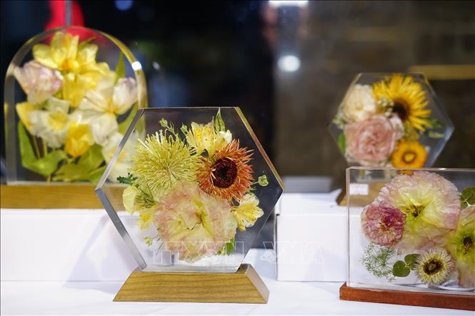 Arian eternal flower lights on display. VNA Photo 