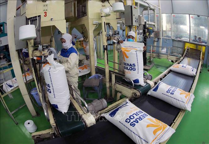 Đóng gói sản phẩm gạo xuất khẩu ở nhà máy của Tập đoàn Lộc Trời. Ảnh: Vũ Sinh - TTXVN