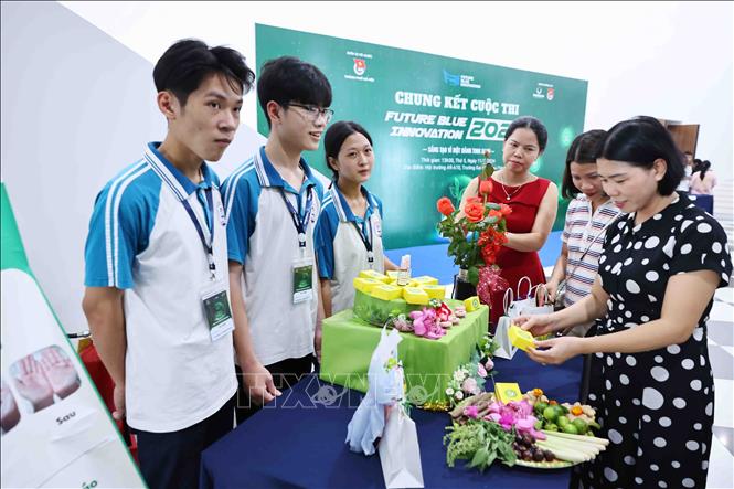 Các đại biểu tham quan các dự án của các đội thi. Ảnh: Minh Đức - TTXVN