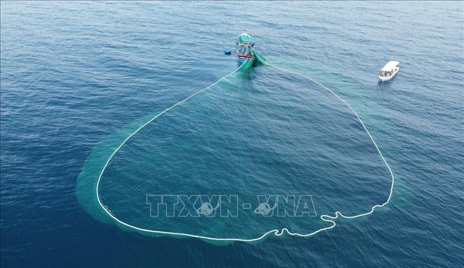 Phu Yen fishermen cast their nets in the deep blue ocean. VNA Photo: Xuân Triệu