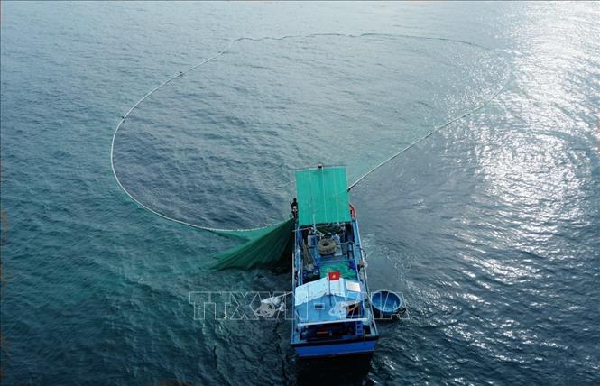 Fishing net expands like an underwater flower blooming. VNA Photo: Xuân Triệu