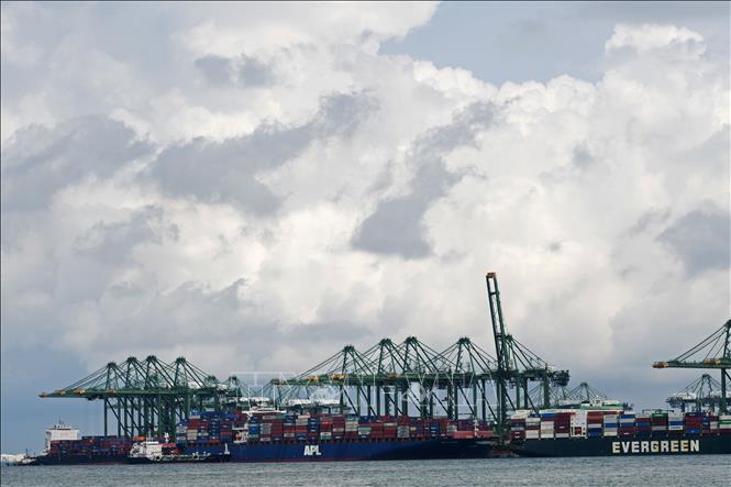 Cảng hàng hóa Pasir Panjang tại Singapore. Ảnh: THX/TTXVN
