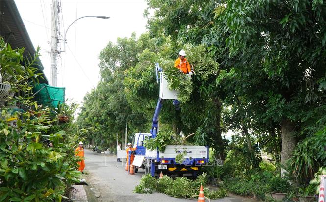 Nhân viên điện lực huyện Thanh Bình chặt mé cây xanh, bảo vệ hành lang an toàn lưới điện trong mùa mưa bão. Ảnh: Nhựt An - TTXVN