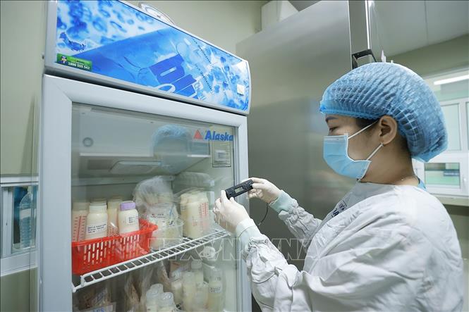 Sữa đã qua sàng lọc được bảo quản ở nhiệt độ phù hợp trước khi thanh trùng. Ảnh: Minh Quyết – TTXVN