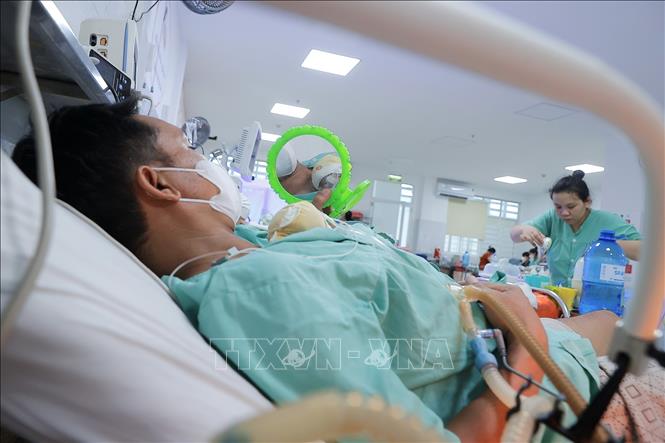 WHO khuyến cáo sữa từ ngân hàng sữa mẹ là lựa chọn nuôi dưỡng trẻ sơ sinh tốt nhất khi không có sữa mẹ đẻ. Nghiên cứu cho thấy sữa từ ngân hàng sữa mẹ giúp rút ngắn thời gian trẻ sơ sinh phải nằm trong các đơn vị chăm sóc tích cực để về với gia đình. Ảnh: Minh Quyết – TTXVN