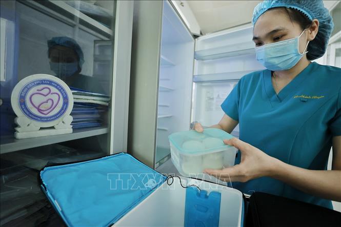 Nhân viên y tế chuyển sữa đã thanh trùng tới các khoa cho bệnh nhi đang điều trị. Ảnh: Minh Quyết – TTXVN