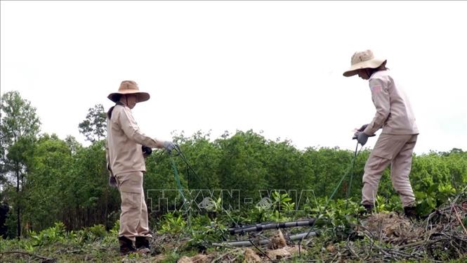 Nhân viên Tổ chức MAG dùng phương tiện, máy móc rà phá, xử lý bom mìn sau chiến tranh tại các địa phương trong tỉnh Quảng Bình. Ảnh: TTXVN phát