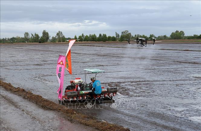 The project is launched at the rice fields of the Phu Hoa Cooperative, Tan Hoi commune, Tan Hiep district. VNA Photo: Lê Huy Hải