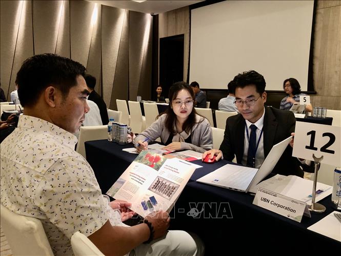 RoK and Vietnamese businesses set up contacts at the event. VNA Photo: Mỹ Phương 