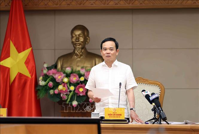 Phó Thủ tướng Trần Lưu Quang chủ trì họp triển khai Đề án 1 triệu ha lúa chuyên canh vùng Đồng bằng sông Cửu Long. Ảnh: An Đăng - TTXVN