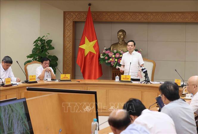 Phó Thủ tướng Trần Lưu Quang chủ trì họp triển khai Đề án 1 triệu ha lúa chuyên canh vùng Đồng bằng sông Cửu Long. Ảnh: An Đăng - TTXVN