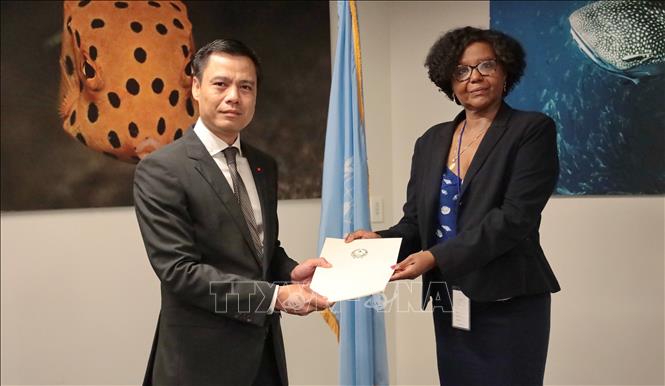 Đại sứ Đặng Hoàng Giang, Trưởng Phái đoàn Thường trực Việt Nam tại LHQ, chính thức nộp Hồ sơ đệ trình Ranh giới thềm lục địa mở rộng ngoài 200 hải lý của Việt Nam ở Khu vực Giữa Biển Đông lên Ủy ban Ranh giới Thềm lục địa LHQ. Ảnh: Thanh Tuấn - Phóng viên TTXVN tại New York (Mỹ) 