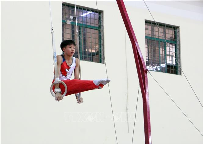 Các vận động viên nam thi đấu nội dung vòng treo. Ảnh: Trung Kiên - TTXVN