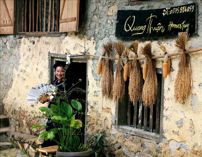 Homestay services are available in Khuoi Ky ancient stone village in Trung Khanh district. VNA Photo: Nhật Anh
