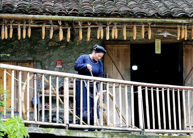 Homestay services are available in Khuoi Ky ancient stone village in Trung Khanh district. VNA Photo: Nhật Anh