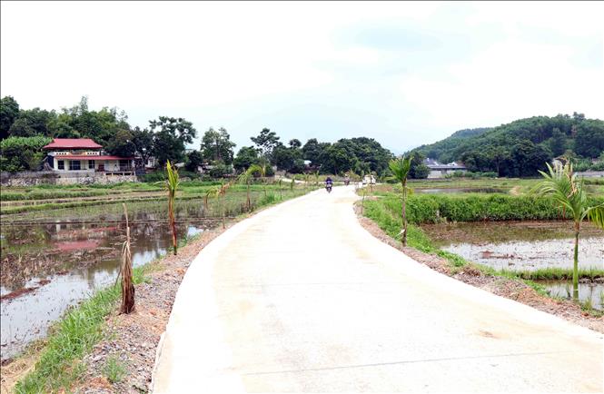 Đường giao thông nông thôn được xây dựng đồng bộ, khang trang, sạch đẹp. Ảnh: Trần Trang-TTXVN