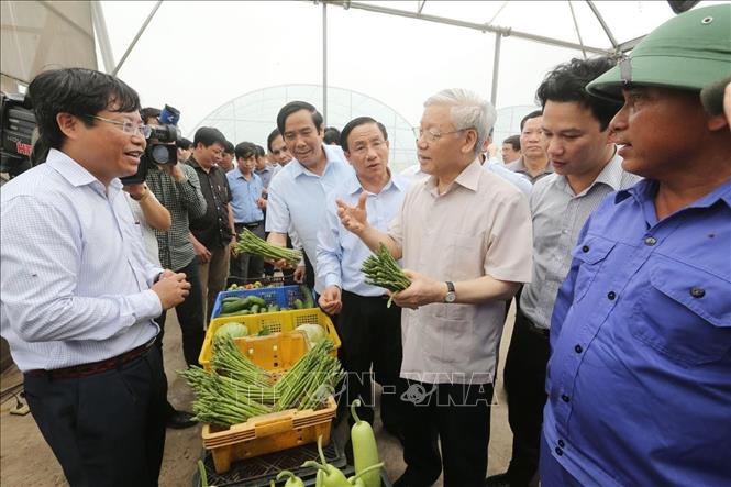 Tổng Bí thư Nguyễn Phú Trọng thăm Dự án sản xuất rau, củ, quả công nghệ cao trên đất cát dọc bờ biển Hà Tĩnh, sáng 22/4/2016. Ảnh: Trí Dũng - TTXVN