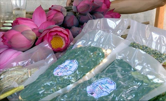 Lotus-related products of Ta Phan cooperative in Quang Ninh district, Quang Binh province. VNA Photo: Tá Chuyên