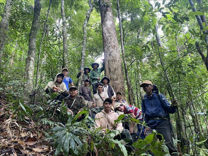Mỗi tháng 2 lần, cộng đồng người Xơ Đăng tại làng Ty Tu lại đi kiểm tra, bảo vệ hơn 190 ha rừng được giao khoán. Ảnh: Khoa Chương - TTXVN
