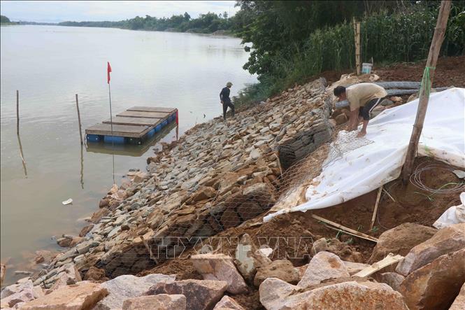 Xây kè bảo vệ bờ sông Thu Bồn bằng giải pháp mỏ hàn tại khu vực sạt lở thuộc địa phận xã Duy Tân, huyện Duy Xuyên. Ảnh: Đoàn Hữu Trung-TTXVN