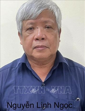 Bị can Nguyễn Linh Ngọc, nguyên Thứ trưởng Bộ Tài nguyên và Môi trường. Ảnh: TTXVN phát