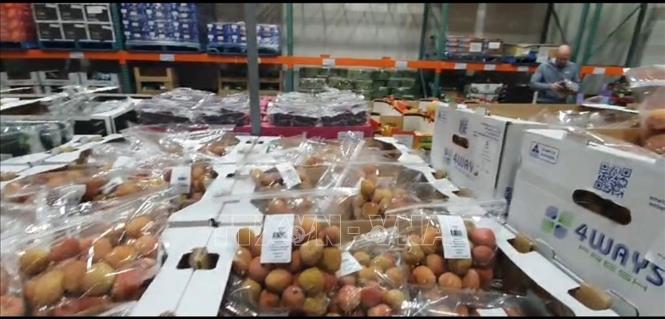 Quả vải Việt Nam bày tại siêu thị Costco thành phố Adelaide, bang Nam Australia. Ảnh: TTXVN phát