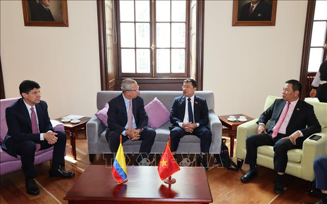 Chairman of the National Assembly's Committee for External Relations Vu Hai Ha at a working session with First Vice President of the Colombian Senate Jhon Jairo Roldán Avendaño in Bogota, Colombia. VNA Photo: Phi Hùng 