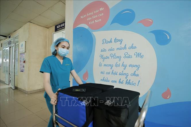 A healthcare worker transports breast milk to at-risk babies. VNA Photo: Minh Quyết