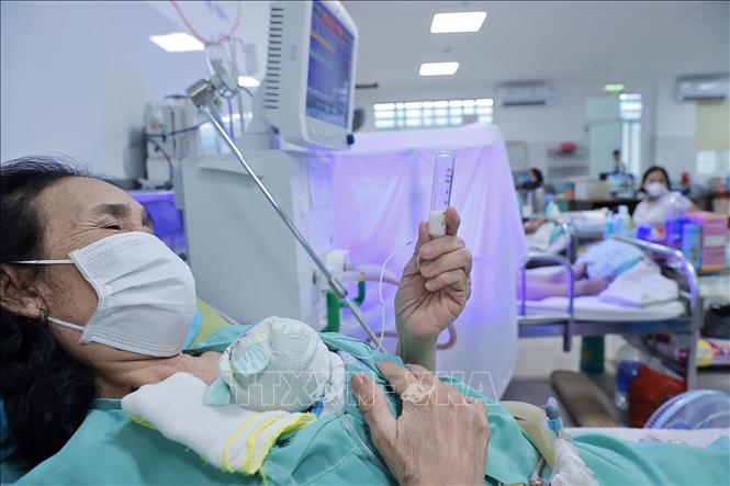 The human milk bank gives at-risk children a chance of survival. VNA Photo: Minh Quyết