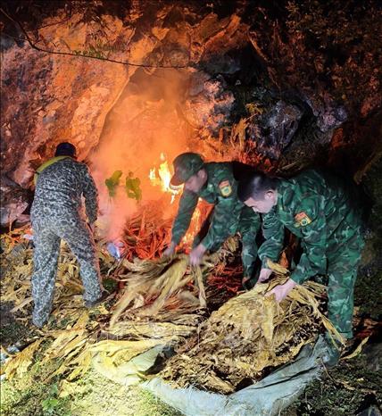 Bộ đội Biên phòng Ngọc Côn tiêu hủy thuốc lá lậu. Ảnh: TTXVN phát