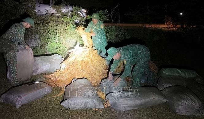 Lực lượng Biên phòng Ngọc Côn thu giữ lô hàng thuốc lá lậu do các đối tượng buôn lậu vứt bỏ lại khi bị truy đuổi. Ảnh: TTXVN phát
