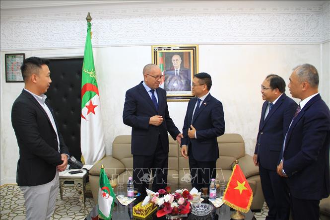 Tỉnh trưởng Constantine, ông Abdelkhalek Sayoda (thú 2, trái), tiếp Đại sứ Trần Quốc Khánh và đoàn công tác của Đại sứ quán Việt Nam tại Algeria. Ảnh: Trung Khánh - PV TTXVN tại Algeria