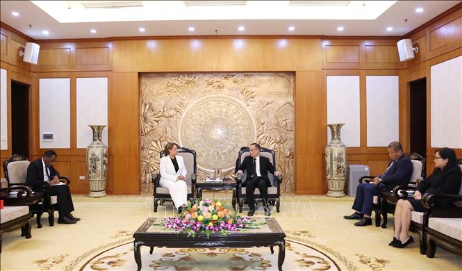 Chairman of the CPVCC's Commission for External Relations Le Hoai Trung and Secretary of the MIU Party's Central Committee and head of its International Department Marthe Pevez. VNA Photo: Phương Hoa 