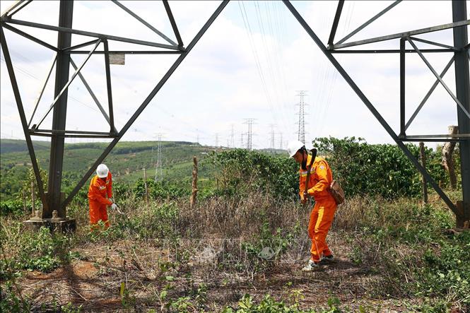 Workers of the Gia Lai Transmission Unit in the Central Highlands province of Gia Lai check the Bo Y-Pleiku 2 220kV line. VNA Photo: Huy Hùng