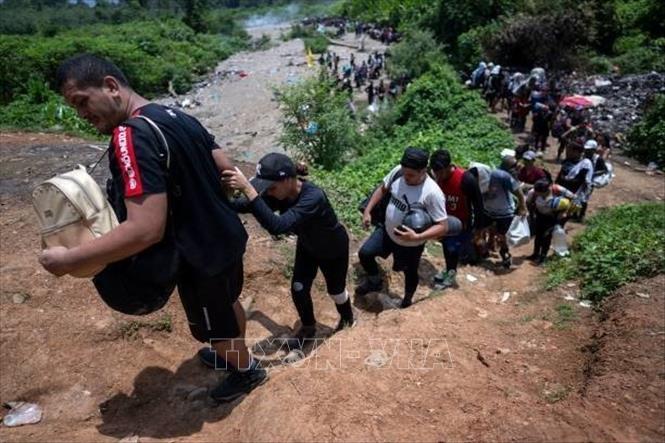 Người di cư vượt rừng Darién Gap ở giữa biên giới Panama và Colombia. Ảnh: Getty Images/TTXVN