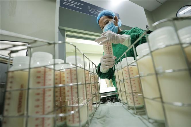 A healthcare worker screens breast milk before sterilisation. VNA Photo: Minh Quyết