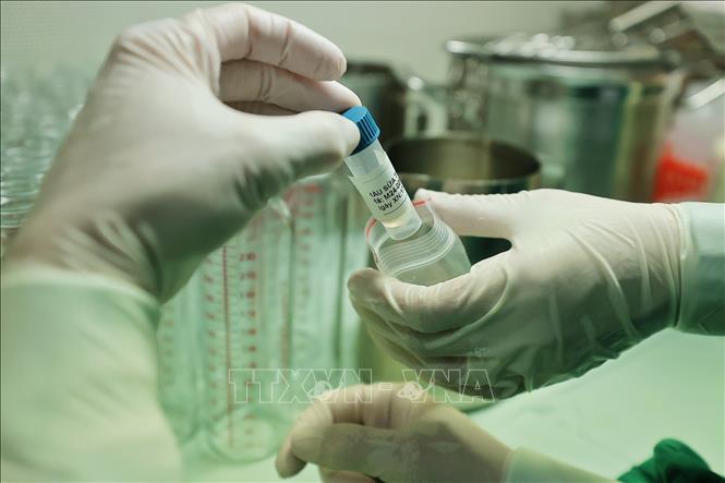 During the screening process, breast milk samples will be taken for lab test. VNA Photo: Minh Quyết