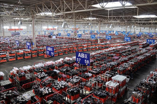 Hiện, hơn 80% hoa tươi cắt cành của Vân Nam cùng hoa từ các tỉnh lân cận và các nước láng giềng được giao dịch ở Đầu Nam, với giá trị giao dịch mỗi năm ước khoảng 14 tỷ Nhân dân tệ. Ảnh: Thành Dương - Phóng viên TTXVN tại Trung Quốc