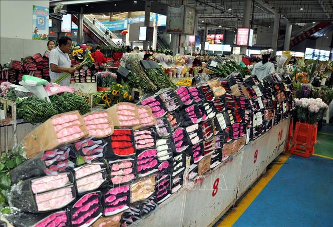 Hiện nay, hơn 80% hoa tươi cắt cành của Vân Nam cùng hoa từ các tỉnh lân cận và các nước láng giềng được giao dịch ở Đầu Nam, với giá trị giao dịch mỗi năm ước khoảng 14 tỷ Nhân dân tệ. Ảnh: Thành Dương - Phóng viên TTXVN tại Trung Quốc
