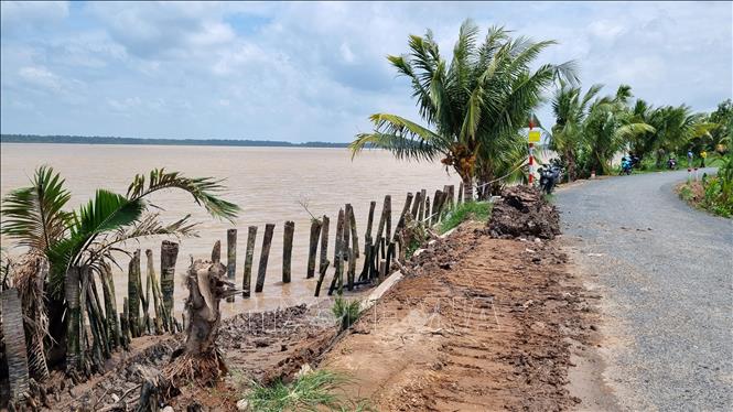 Sạt lở sông Hậu ở ấp An Bình, xã Hòa Tân (Cầu Kè, Trà Vinh) ngày càng nghiêm trọng. Ảnh: Thanh Hòa - TTXVN