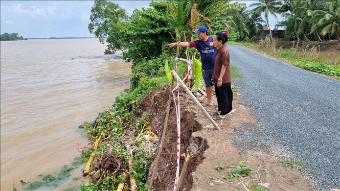 Sạt lở sông Hậu ở ấp An Bình, xã Hòa Tân, huyện Cầu Kè ngày càng nghiêm trọng. Ảnh: Thanh Hòa - TTXVN