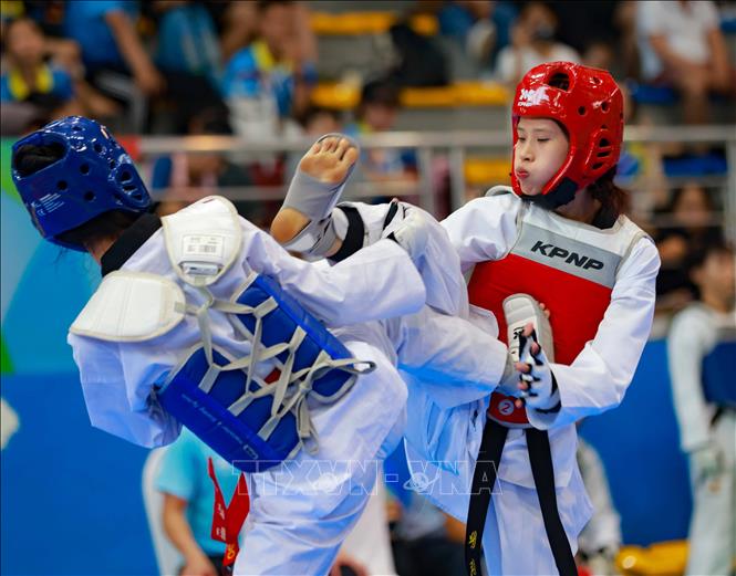 Thi đấu đối kháng môn Taekwondo, nội dung Nữ, hạng -42kg. Ảnh: Thanh Tùng - TTXVN 