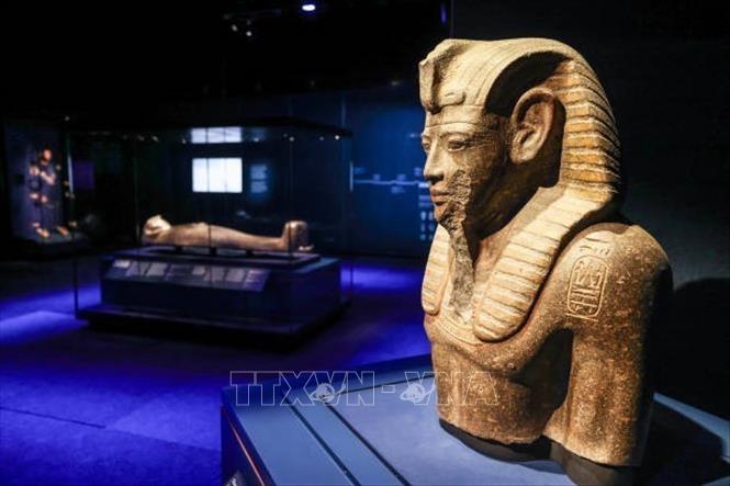 Một tượng pharaoh được trưng bày tại triển lãm 