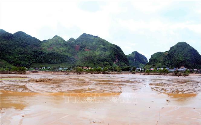 Sau trận ngập lụt, toàn bộ diện tích canh tác của nhân tại khu vực bản Phé, xã Tông Cọ, huyện Thuận Châu, tỉnh Sơn La chìm trong bùn đất. Ảnh: Quang Quyết - TTXVN