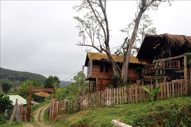 Homsay Nhà trong bản của bà Đoàn Thị Vân ở thị trấn Măng Đen huyện Kon Plông đã vi phạm pháp luật, bị phạt nhưng không chịu tháo dỡ. Ảnh: Cao Nguyên-TTXVN
