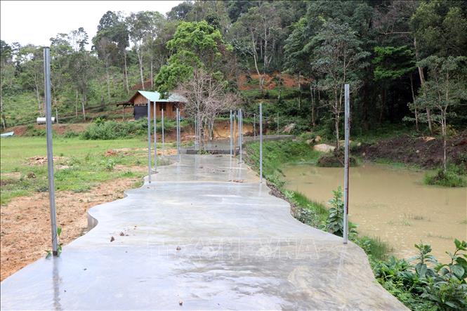 Đường vào khu nhà nghỉ được xây dựng trên đất trồng cây lâu năm của bà Trương Nữ Tường Vi ở thôn Kon Pring thị trấn Măng Đen huyện Kon Plông (Kon Tum). Ảnh: Cao Nguyên-TTXVN
