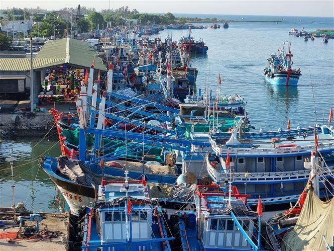 Tỉnh Ninh Thuận đầu tư, nâng cấp cảng Ninh Chữ (xã Tri Hải, huyện Ninh Hải) đáp ứng việc neo đậu tàu thuyền và bốc dỡ hải sản. Ảnh: Nguyễn Thành – TTXVN