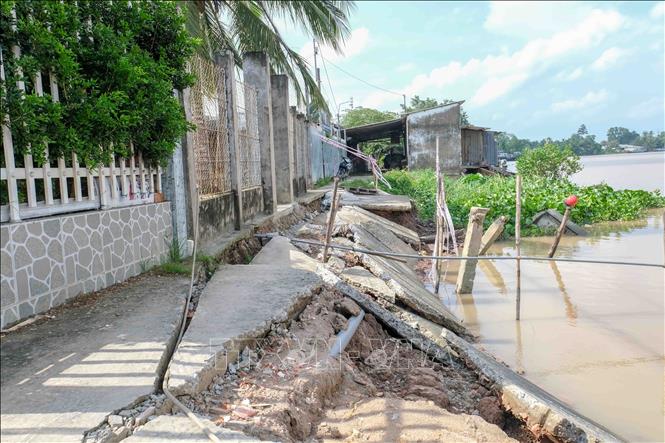 Bờ sông Ô Môn đoạn qua phường Thới An, quận Ô Môn bị sạt lở gây hư hỏng đường giao thông. Ảnh: Thanh Liêm - TTXVN