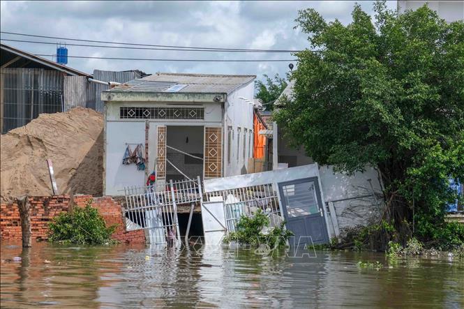 Một căn nhà bị sụt xuống sông Bình Thủy trong vụ sạt lở cuối tháng 5/2024. Ảnh: Thanh Liêm - TTXVN